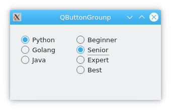 pyqt qbuttongroup example